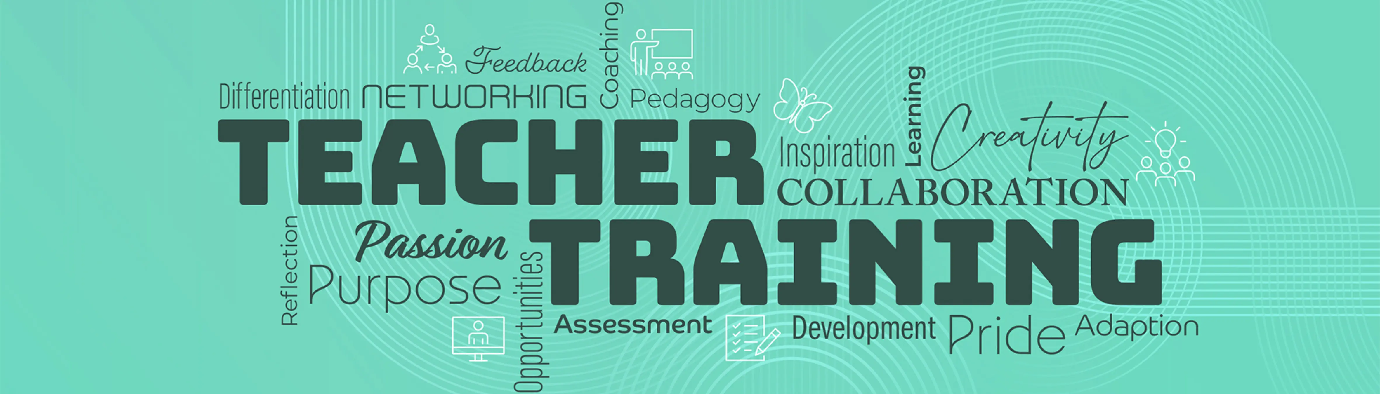 Teacher Training student in a classroom